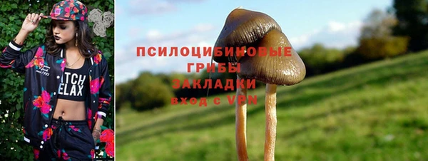 гашик Алзамай