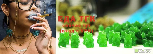 гашик Алзамай