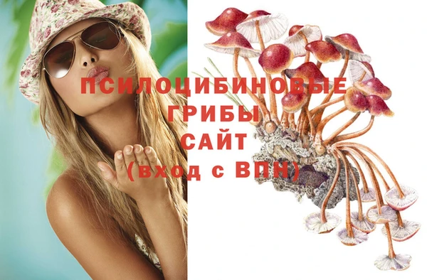 гашик Алзамай