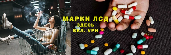 гашик Алзамай