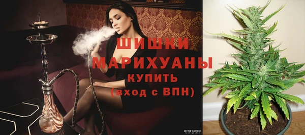 гашик Алзамай