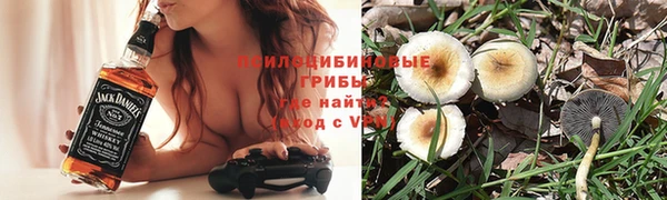 твердый Абинск