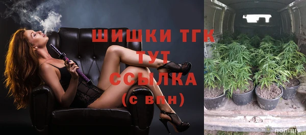 PSILOCYBIN Алексеевка