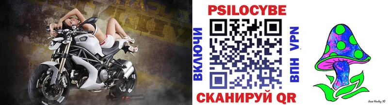 Псилоцибиновые грибы прущие грибы Канаш