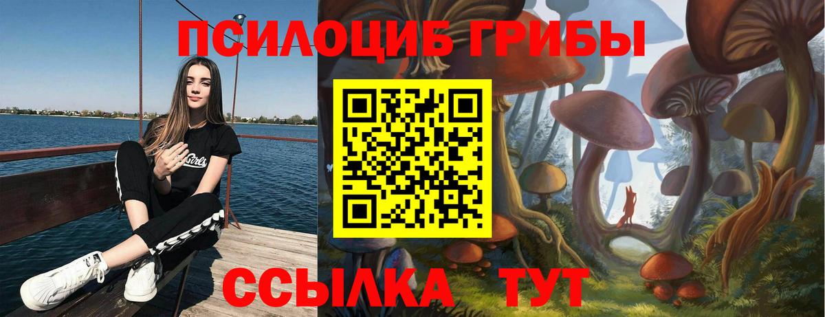 Галлюциногенные грибы Cubensis  Вход с VPN  Канаш  Галлюциногенные грибы Cubensis 